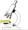 A microscope