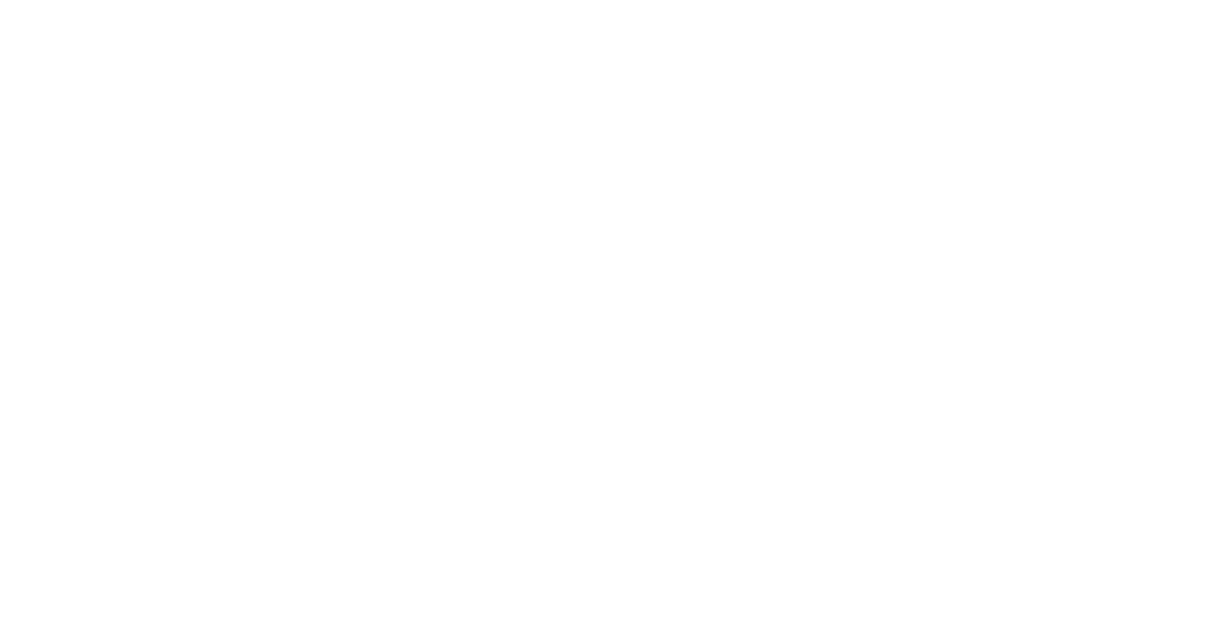 Action Plan Image